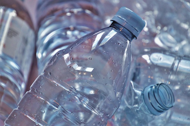 Best Eco-Friendly Coolers for Camping Trips: Reliable, Sustainable Cooling Options