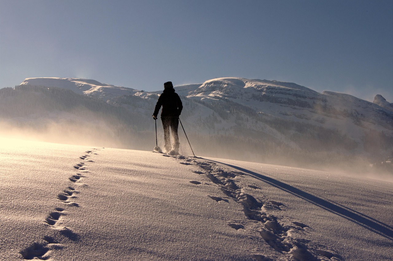 human, snow, trekking poles, nature, mountains, snow mountains, hoarfrost, winter, wintry, winterscape, snowscape, snowy