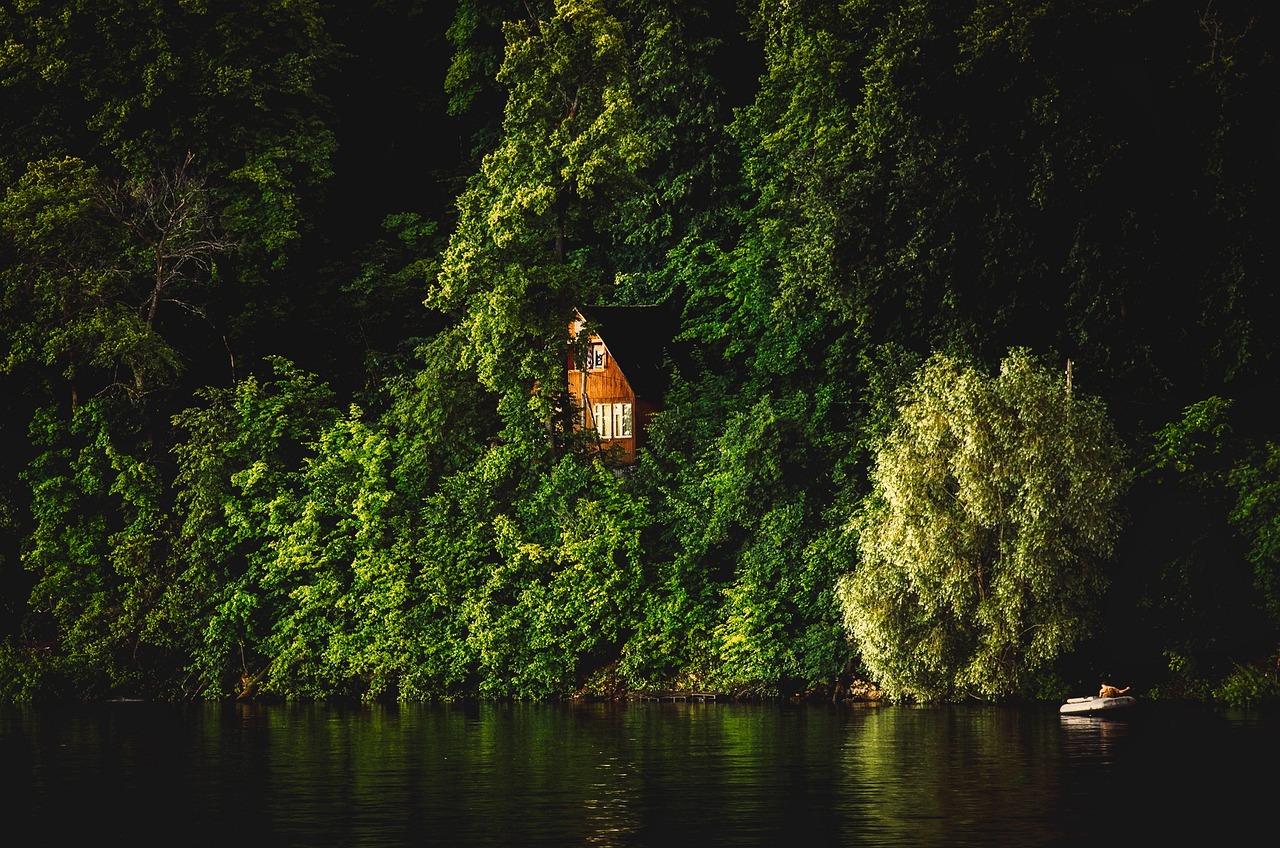 cabin, cottage, lake, forest, trees, woods, remote, hideaway, vacation, holiday, landscape, nature, outdoors, country, r
