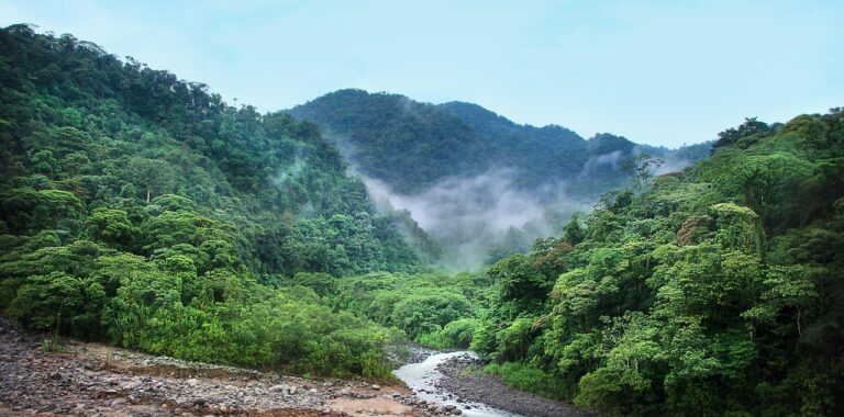 Sustainable Rainforest Trekking in Costa Rica: A Practical Planning Guide