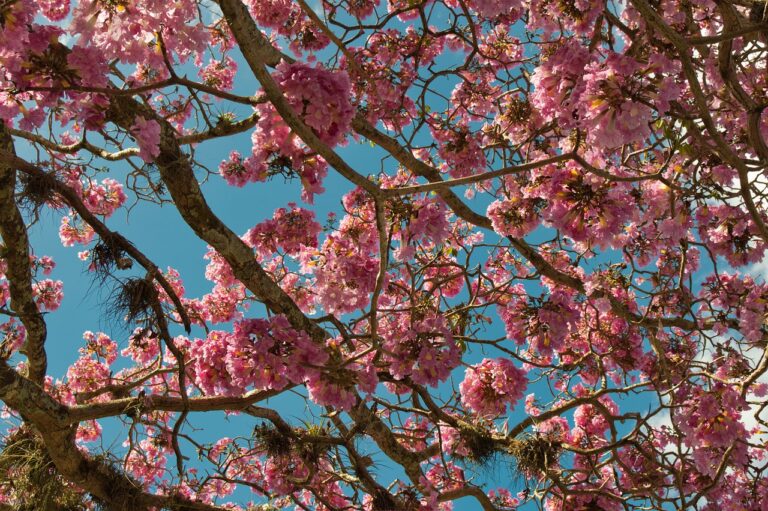 Best Time to Visit Eco Destinations by Season: A Practical Planning Guide