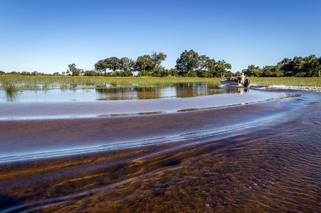 okavango delta, botswana, africa, safari, okavango, water, nature, vacations, okavango delta, okavango delta, okavango d