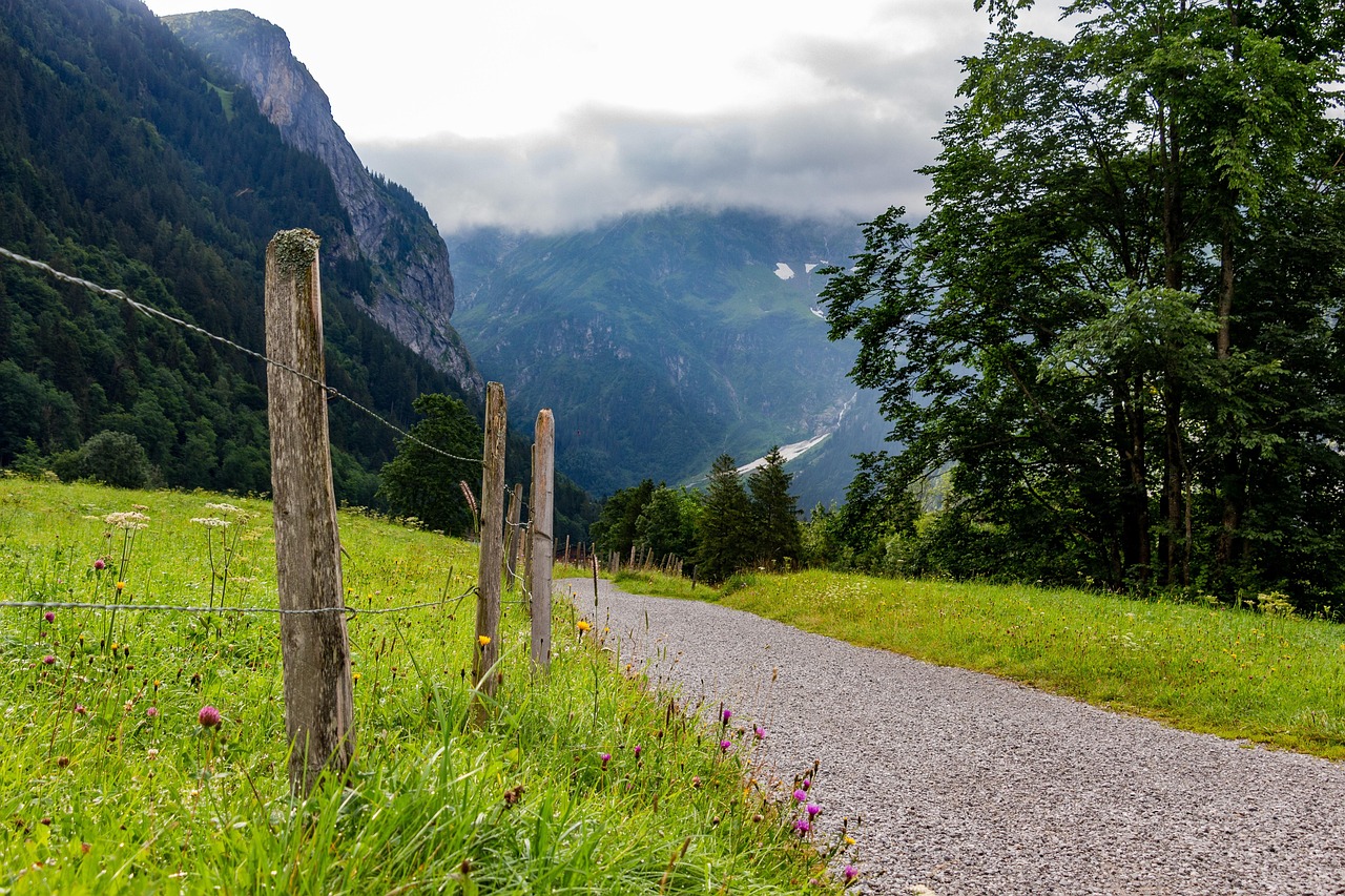 green, meadow, mountains, switzerland, nature, landscape, summer, fence, path, flower, forest, view, expanse, perspectiv